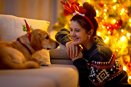 How to Help Animal Shelters and Rescues During the Holidays